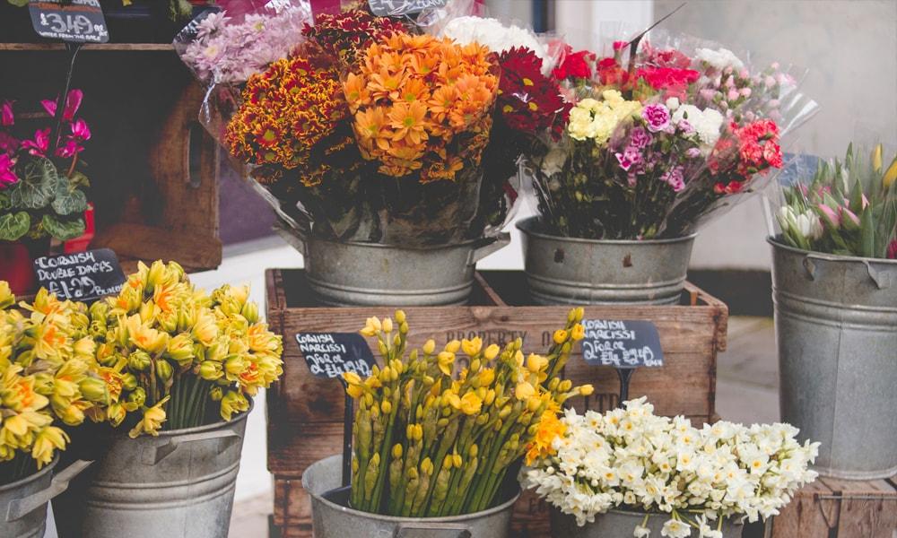 Tips to Consider Before You Send Flowers for Every Occasion