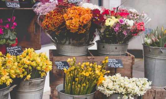 Tips to Consider Before You Send Flowers for Every Occasion