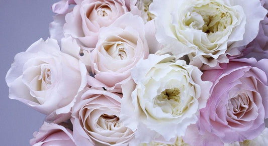 Top 5 Frequently Asked Questions About Flowers in Singapore (2019)