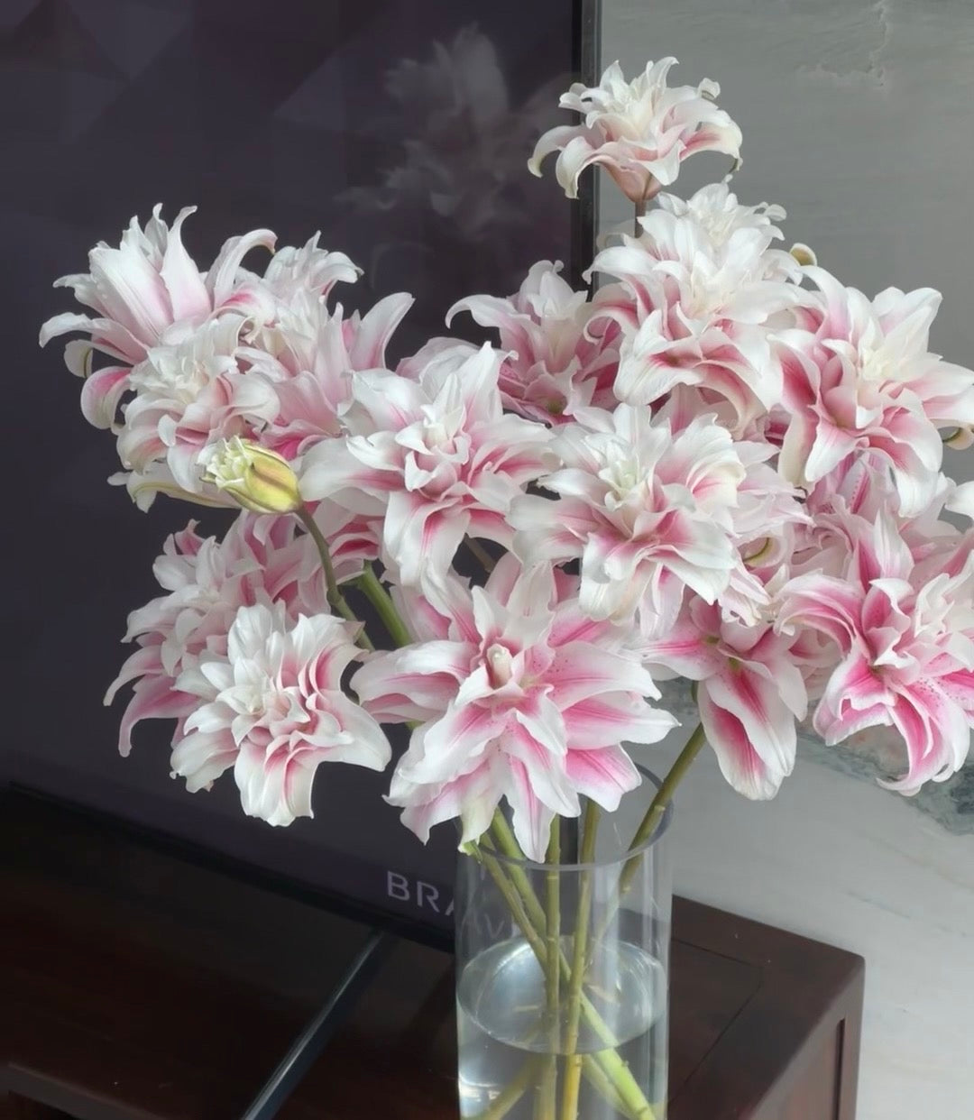 3支 - 重瓣粉百合 - Double Layer Pink Lily