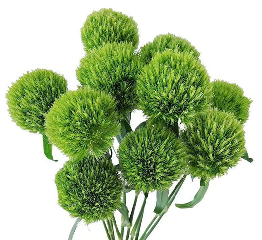 绿毛球 ~ Green Ball