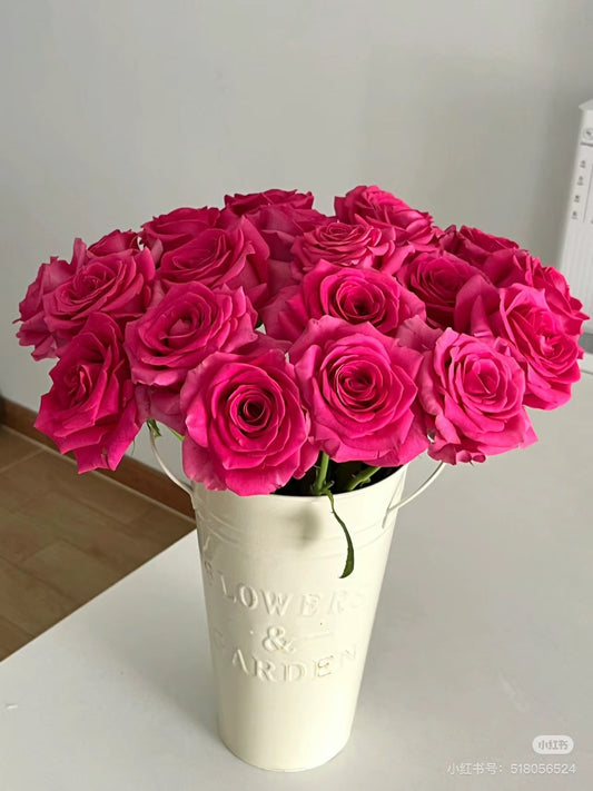 佛洛依德玫瑰～10枝