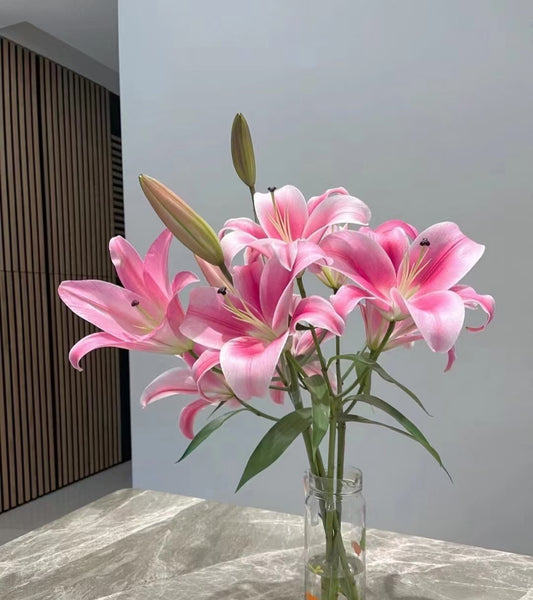 3支 - 多头粉百合 - Pink Lily