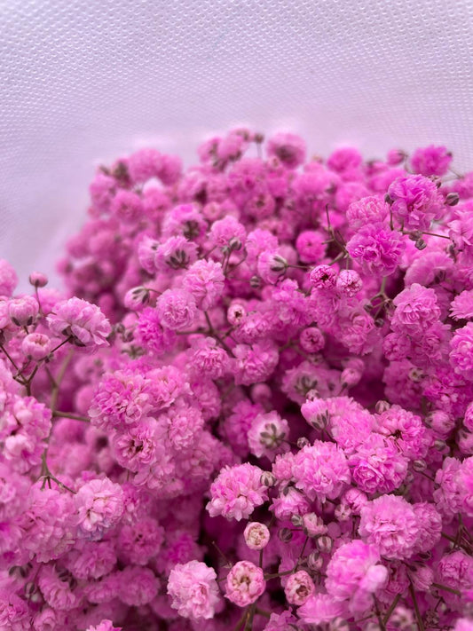 粉色满天星一包 ~ Pink Baby Breath