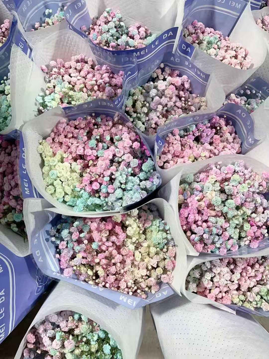 混色满天星一包 ~ Mix Baby Breath