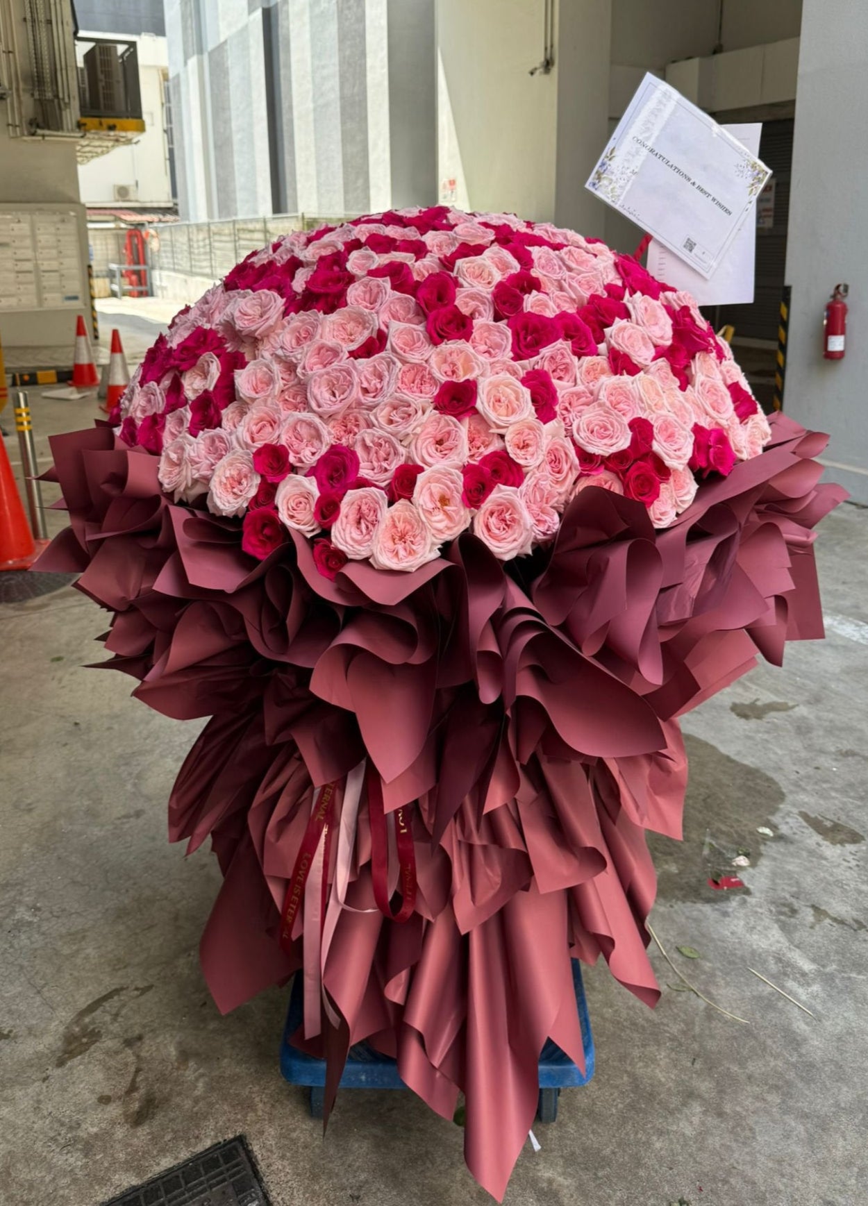 Premium Bouquet 17 ~ 520 Roses