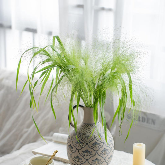 喷泉草 ~ Fountain Grass