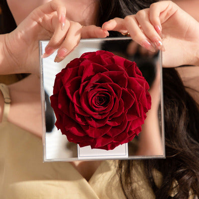 Preserved & Dried Flowers red rose